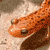 PWRC website PWRC icon